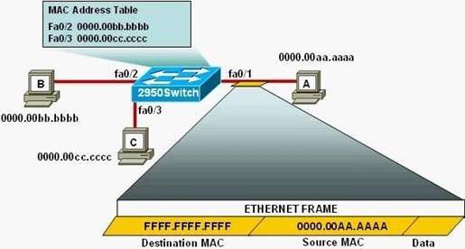 CCFA-200 Actualtest